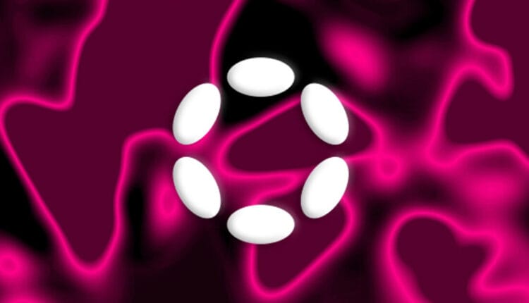 Polkadot team dismisses fears of empty treasury, touts self-sustaining model