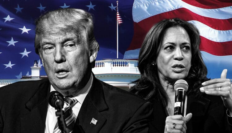 Polymarket odds narrow sharply as whales slow down Trump betting