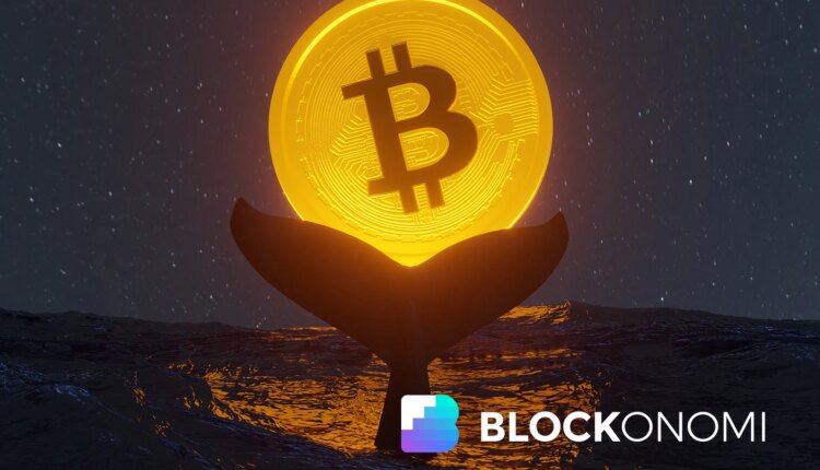 Long-Term Bitcoin Holders Dump Coins as Market Confidence Wavers