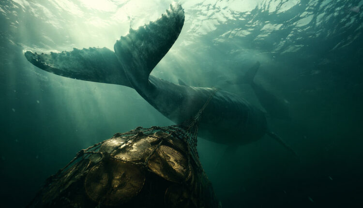 JST Supply Shrinks by 1.36 Billion Following Three Rounds of Buyback and Burn: Token Price and Market Cap Propelled by Deflationary Drivers