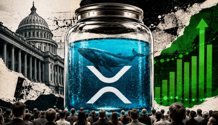 XRP’s $1.16 recovery gets support from whales and a $285 million ETF streak